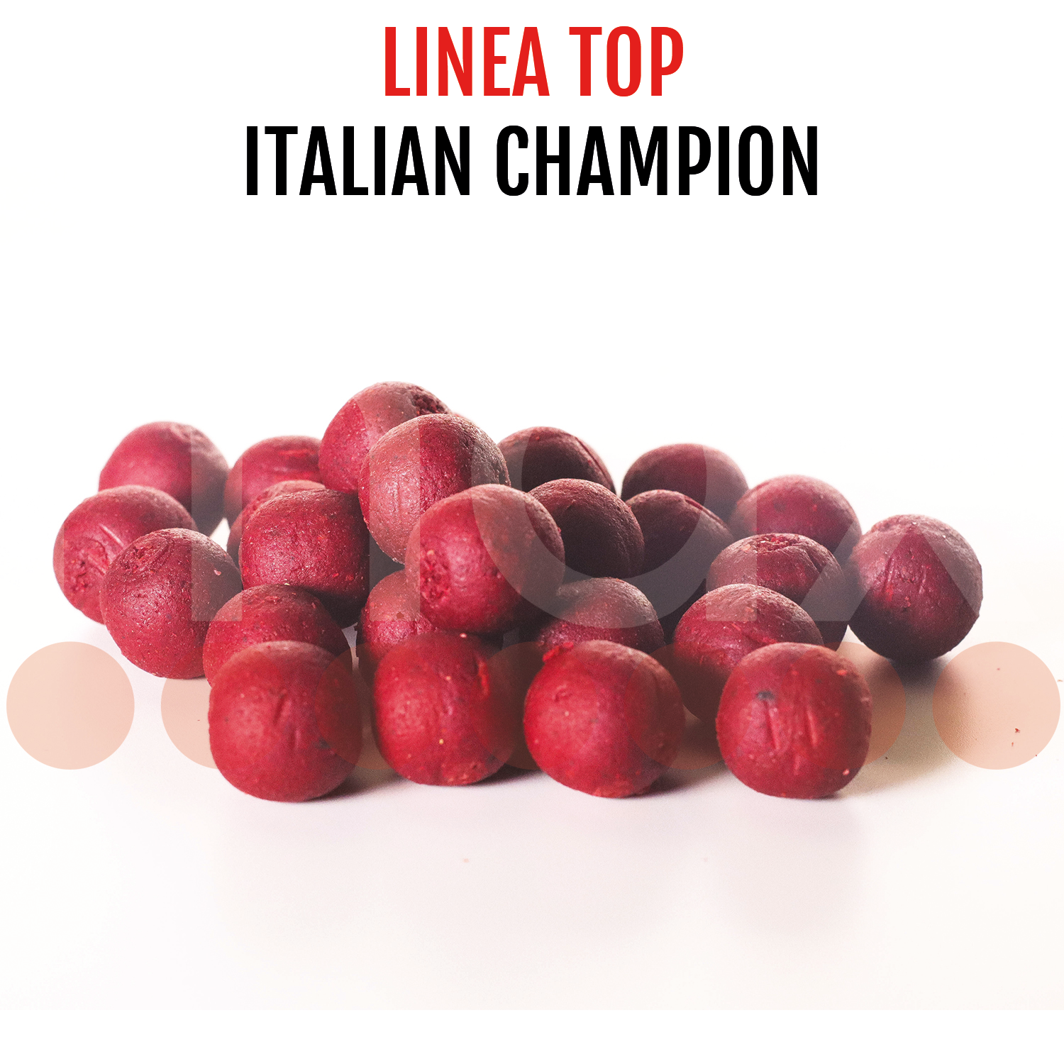 TOP - ITALIAN CHAMPION