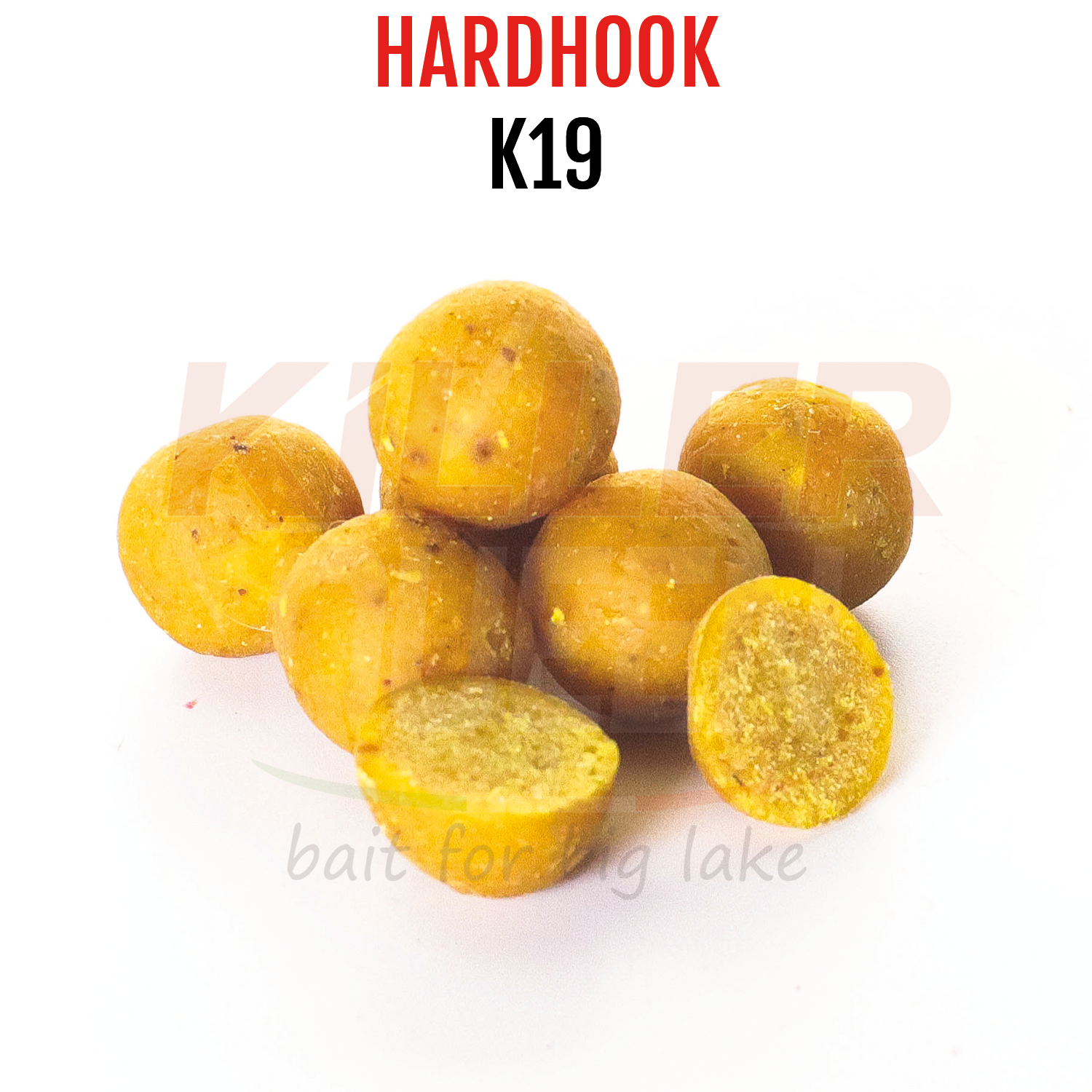 HARDHOOK - K19