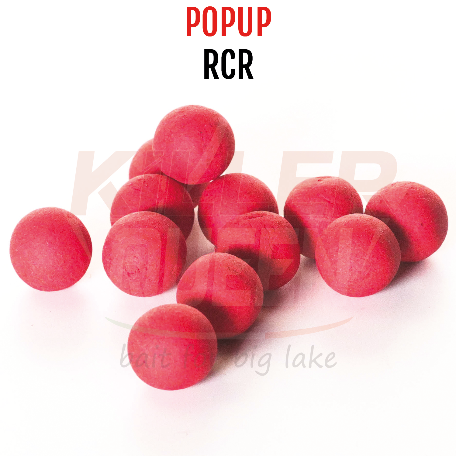 POP UP KQ - RCR